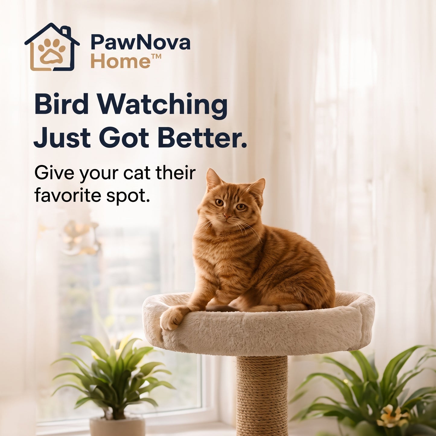 PawNova Home™ EcoNest Elevated Cat Perch