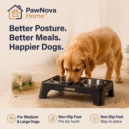PawNova Home™ Elevated Comfort Feeding Station