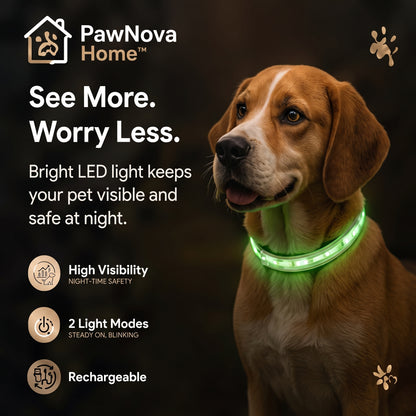 PawNova Home™ GlowSafe LED Pet Collar
