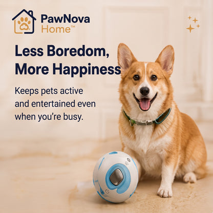 PawNova Home™ Interactive Smart Pet Toy